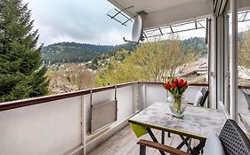 Ferienwohnung Tannenwald